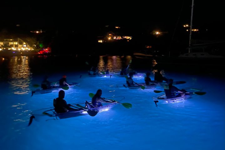 a group of people swimming in a body of water